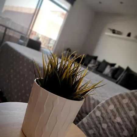 Albufera Rooms Valencia Room photo