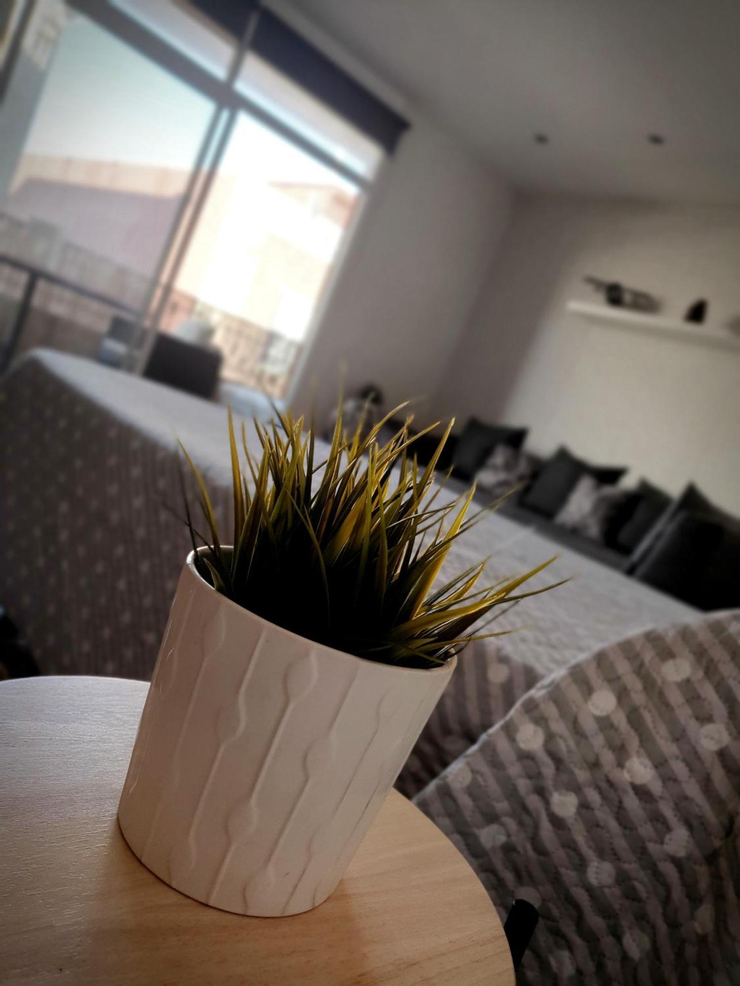 Albufera Homestay
