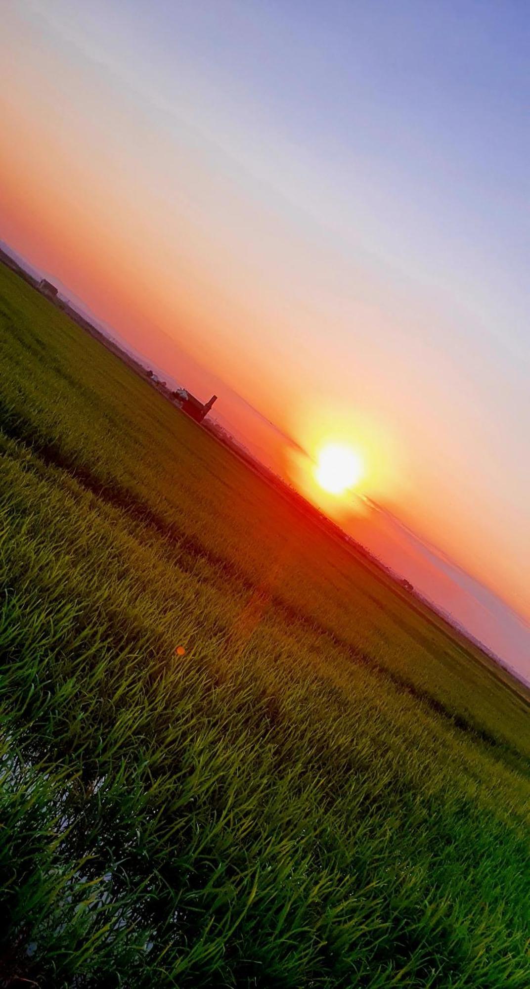 Alloggio in famiglia Albufera *
